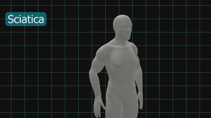 Core Relief Pro Belt